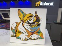 Arquivos estratégicos: o que separa operadores de empreendedores.